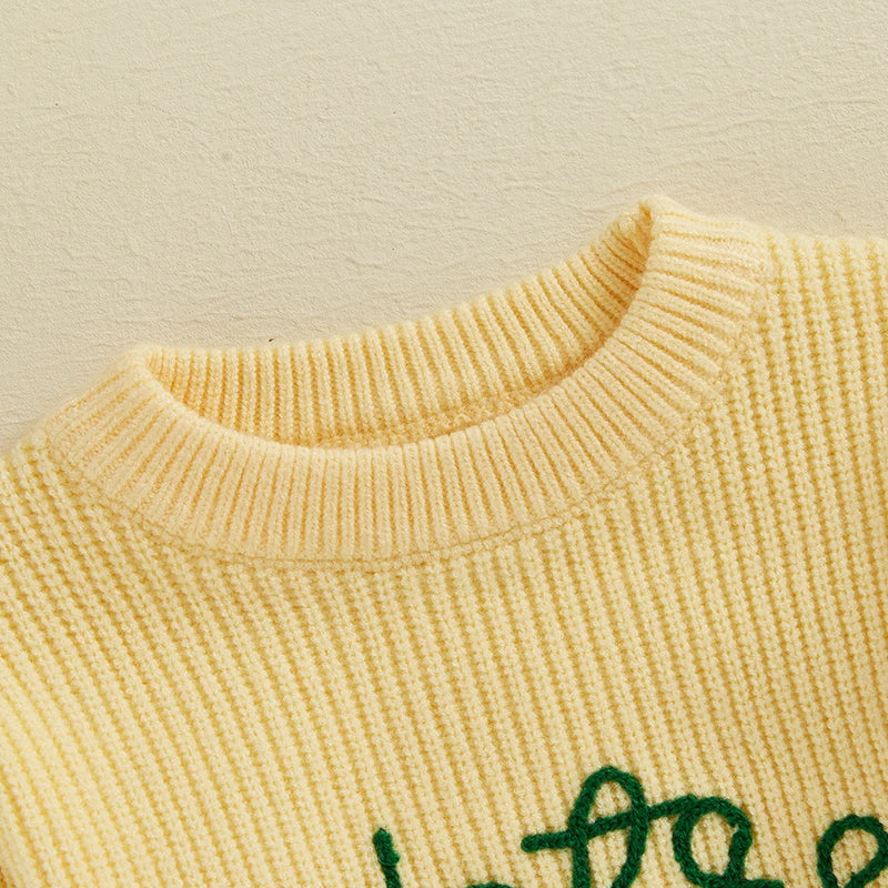 Lioraitiin 2 Colors Toddler Kids Baby Boys Sweater Letter Embroidery