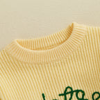 Lioraitiin 2 Colors Toddler Kids Baby Boys Sweater Letter Embroidery