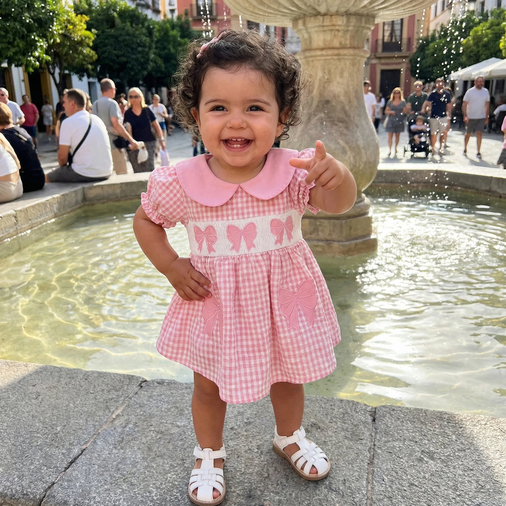 Lioraitiin Baby Girl Plaid Romper Dress Cute Bow Embroidery Smocked