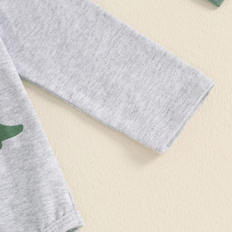 Lioraitiin Baby Boys Outfit, Long Sleeve Crew Neck Dinosaur Print