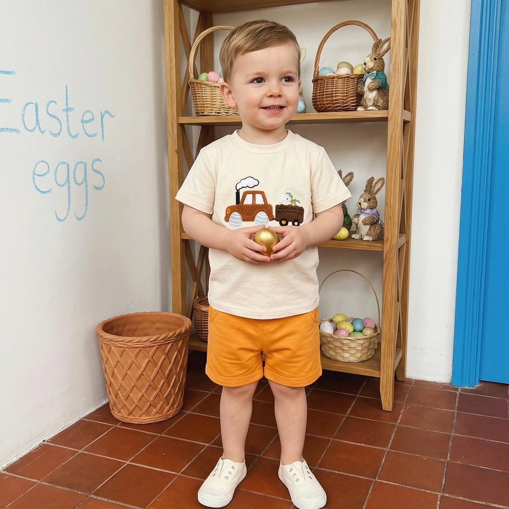 Lioraitiin Kids Boys Shorts Set Short Sleeve Embroidery T-shirt with