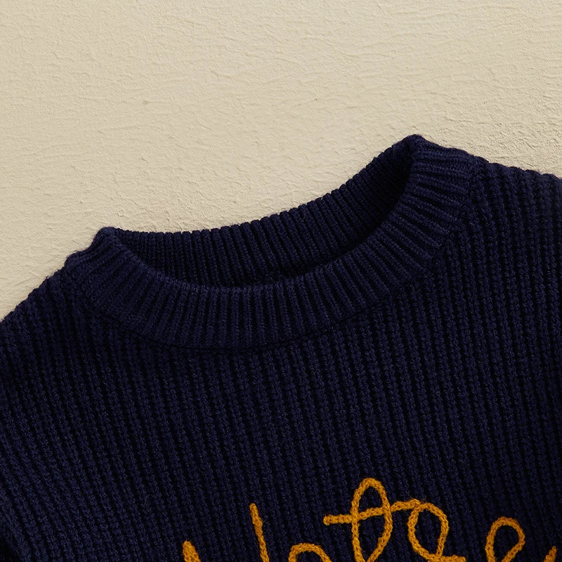 Lioraitiin 2 Colors Toddler Kids Baby Boys Sweater Letter Embroidery