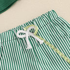Lioraitiin Toddler Baby Boy Shorts Set Whale/Dinosaur/Turtle Short