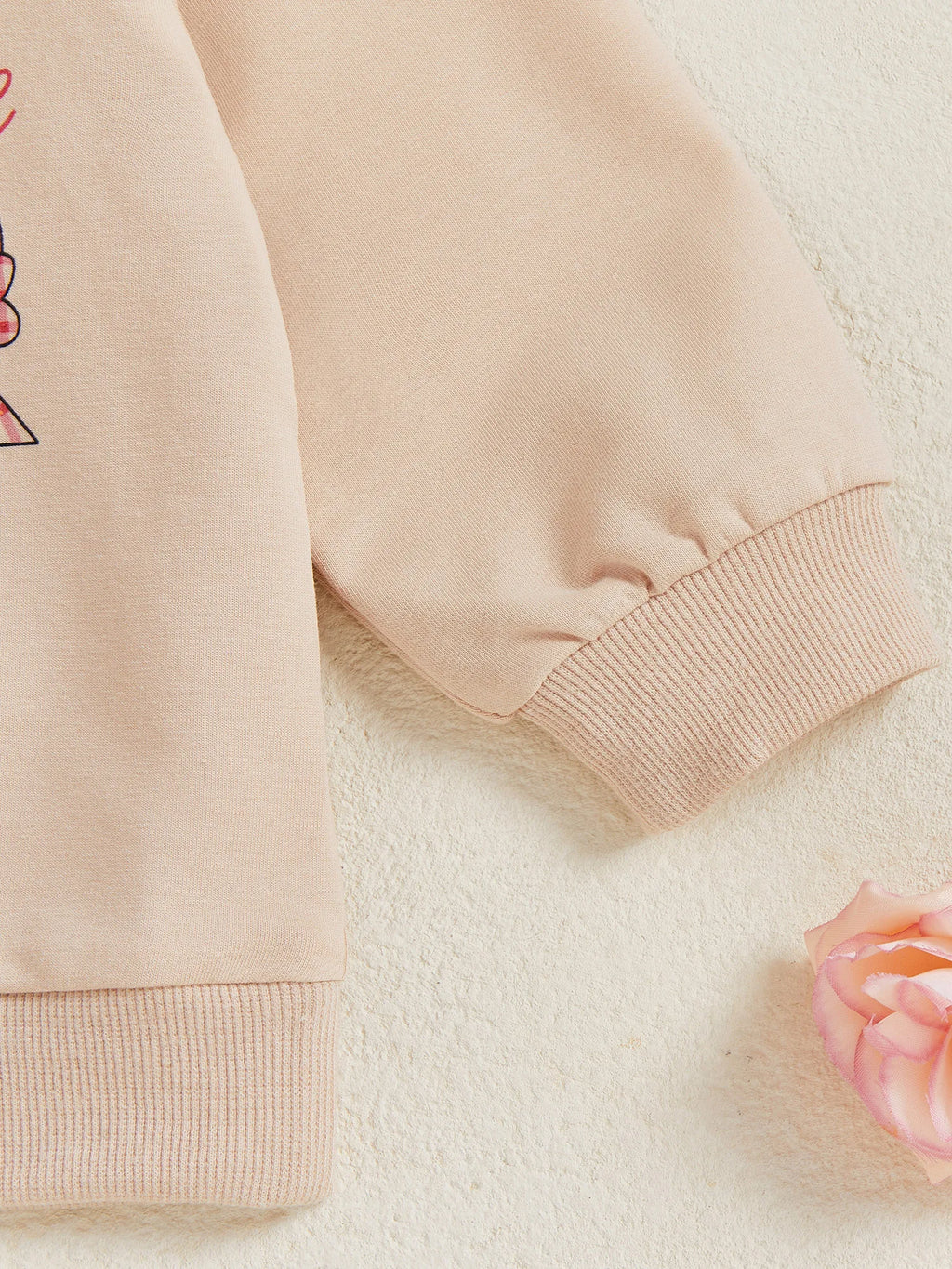 Lioraitiin Kids Boys Girls Sweatshirt Long Sleeve Crew Neck Letters