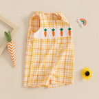 Lioraitiin Newborn Baby Girls Easter Romper Bunny Carrot Embroidery