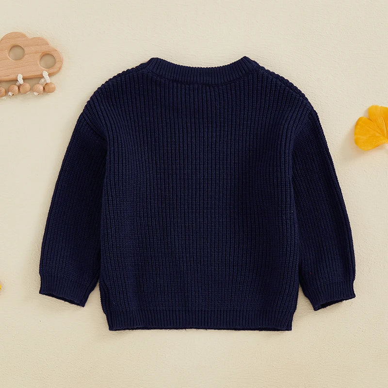 Lioraitiin 2 Colors Toddler Kids Baby Boys Sweater Letter Embroidery