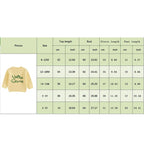 Lioraitiin 2 Colors Toddler Kids Baby Boys Sweater Letter Embroidery