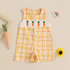 Lioraitiin Newborn Baby Girls Easter Romper Bunny Carrot Embroidery