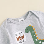 Lioraitiin Baby Boys Outfit, Long Sleeve Crew Neck Dinosaur Print