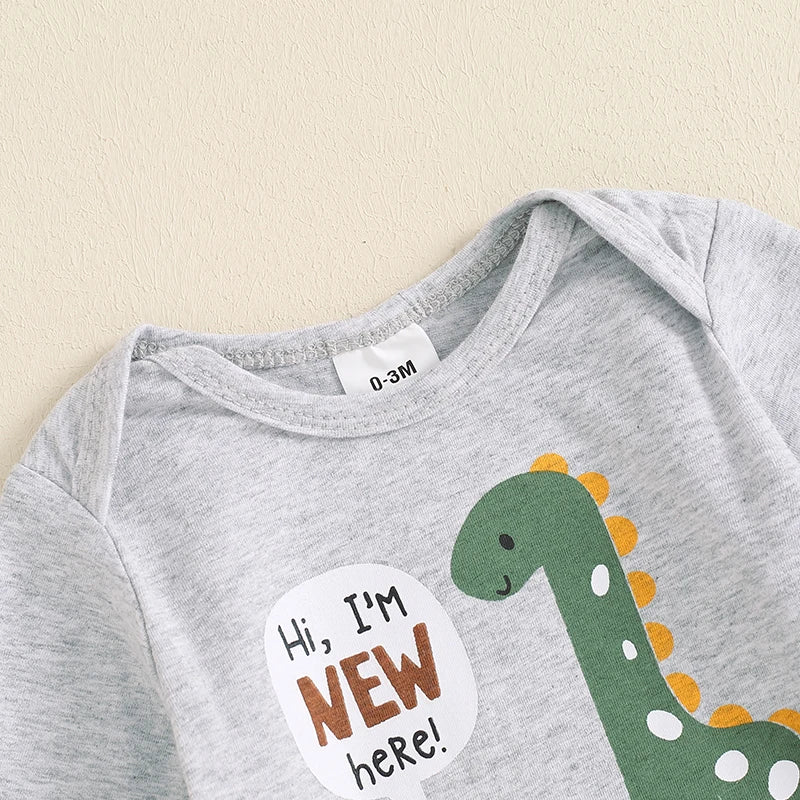 Lioraitiin Baby Boys Outfit, Long Sleeve Crew Neck Dinosaur Print