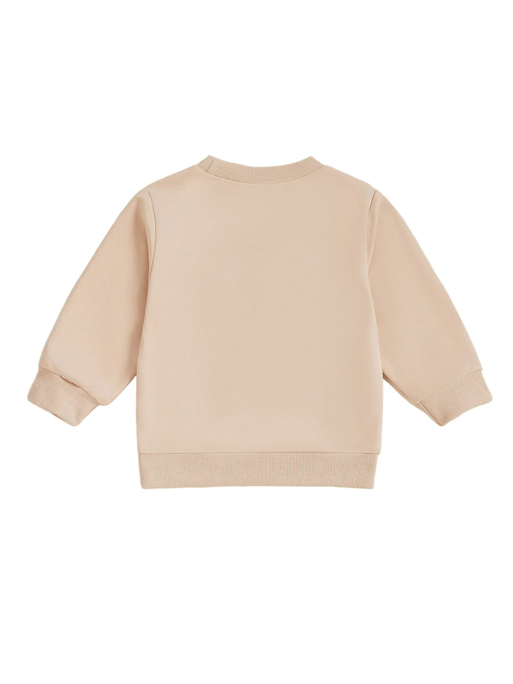 Lioraitiin Kids Boys Girls Sweatshirt Long Sleeve Crew Neck Letters