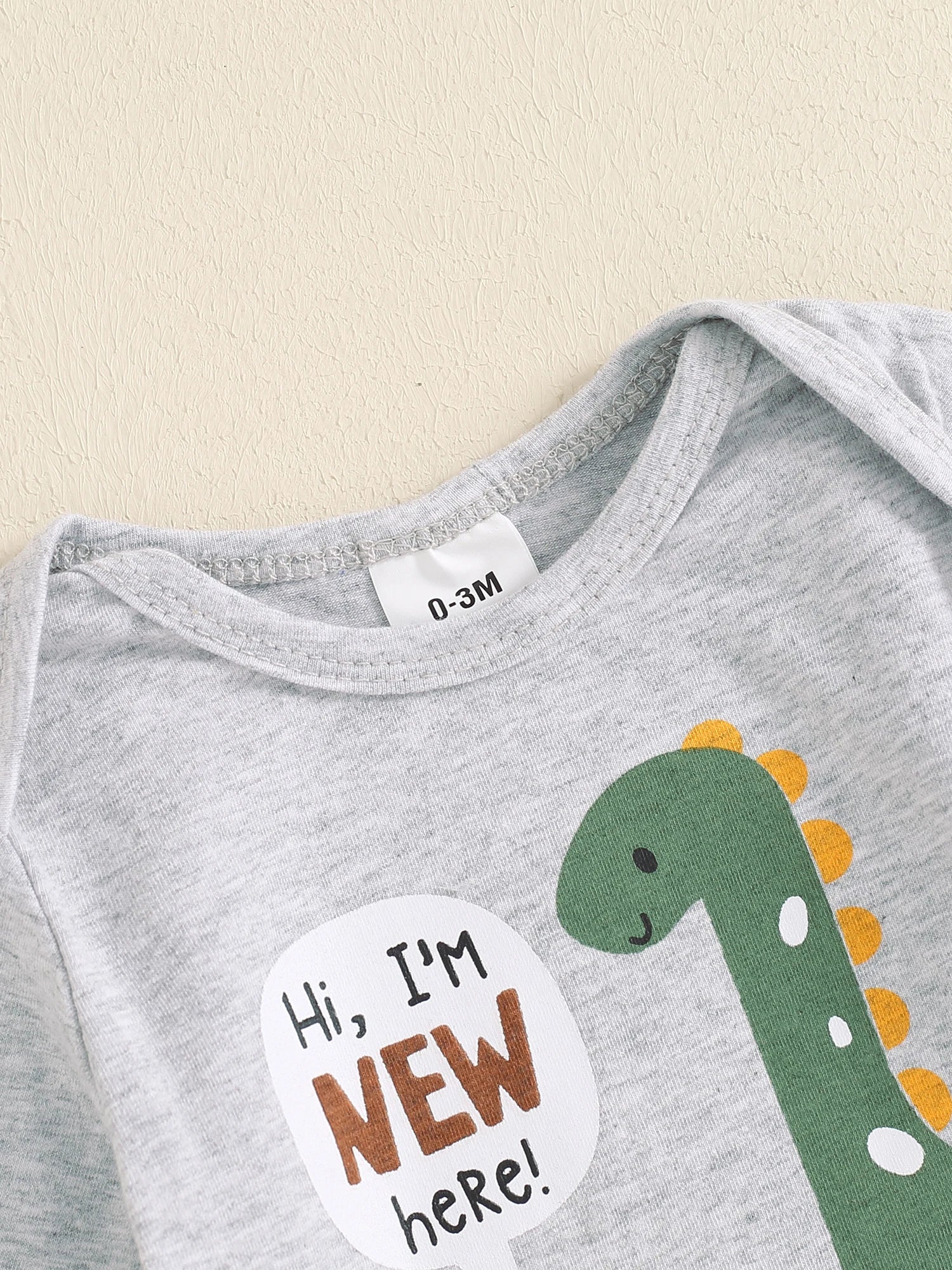 Lioraitiin Baby Boys Outfit, Long Sleeve Crew Neck Dinosaur Print