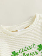 Lioraitiin Baby Girls Outfits Long Sleeve Shamrock Embroidery Romper