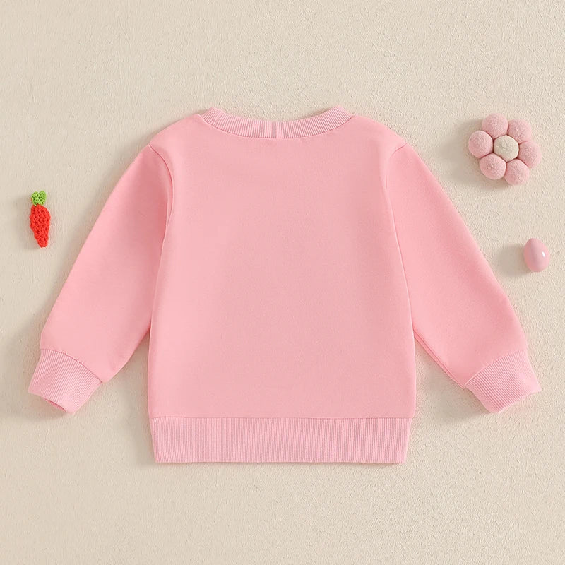 Lioraitiin Toddler Girls Boys Sweatshirts Easter Rabbit Embroidered