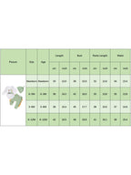 Lioraitiin Baby Boys Outfit, Long Sleeve Crew Neck Dinosaur Print
