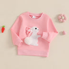 Lioraitiin Toddler Girls Boys Sweatshirts Easter Rabbit Embroidered