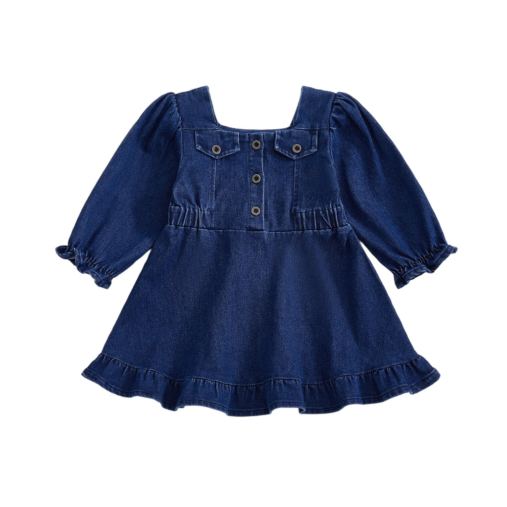 Lioraitiin Toddler Baby Girl Denim Dress Long Puff Sleeve Button Down